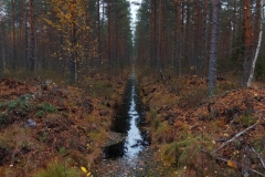 Haastavampaa maastoa